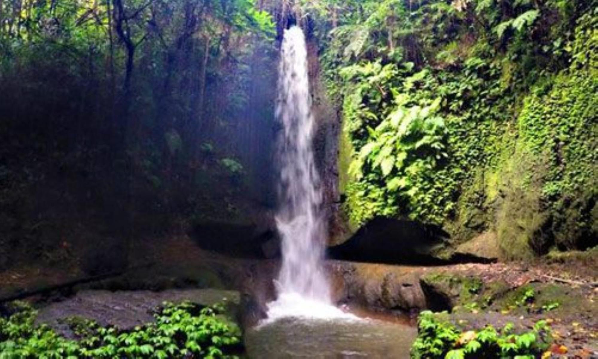 Dedary Resort & Spa Ubud By Ini Vie Hospitality エクステリア 写真